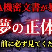 YouTube動画「【寝るのが怖くなる】夢に違和感はありませんか？禁断の米軍技術「思考盗聴」が暴露【CIA機密文書】【都市伝説】【ゆっくり解説】」のサムネイル画像