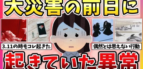 YouTube動画「【有益】実際に起きていた異変…大震災が起きる前兆教えて!【ガルちゃん】」のサムネイル画像
